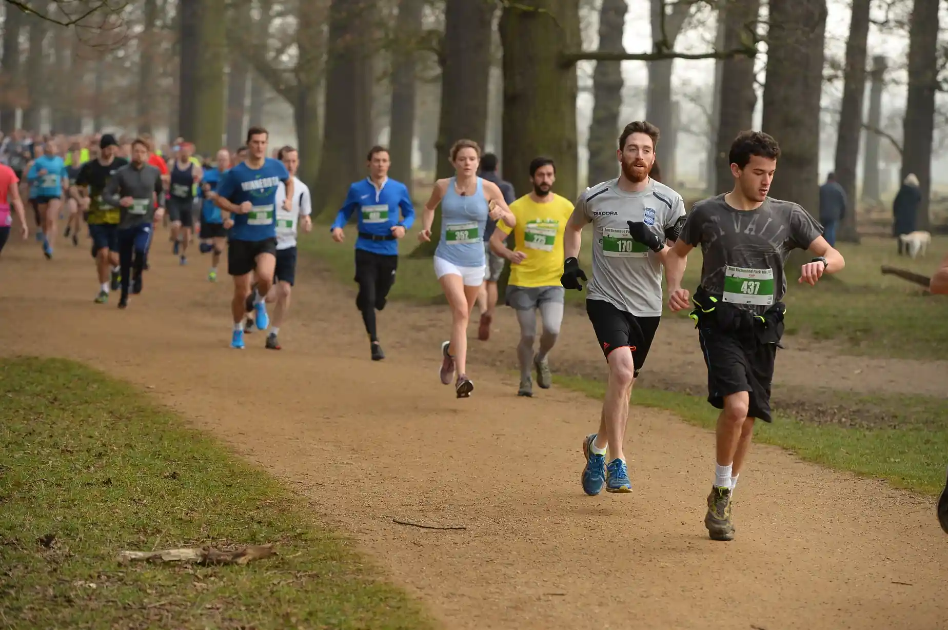 Everything You Need to achieve success in the Richmond Park Marathon